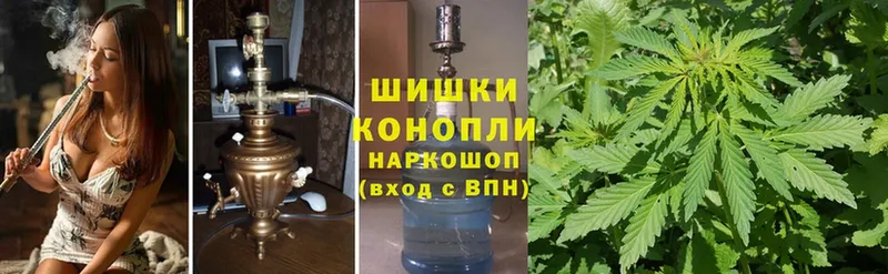 Канабис SATIVA & INDICA  Ельня 